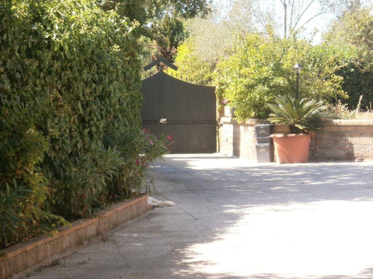 Villa Rosalba Camere Barbarano Romano Εξωτερικό φωτογραφία